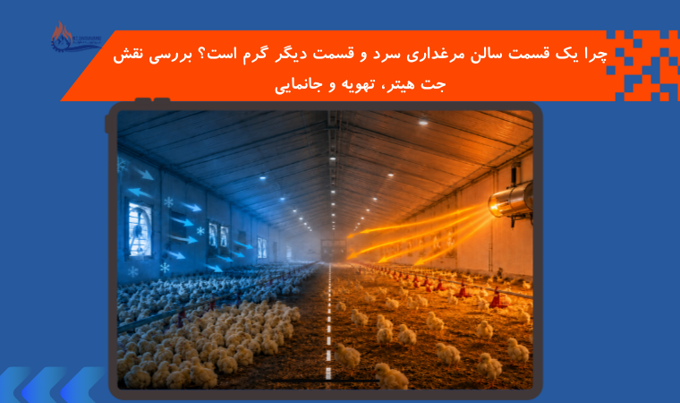 چرا یک قسمت سالن مرغداری سرد و قسمت دیگر گرم است؟ بررسی نقش جت هیتر، تهویه و جانمایی